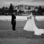 IMG_8489 IMG_8489