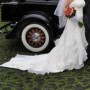 IMG_E2784 IMG_E2784