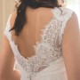 IMG_0655 IMG_0655