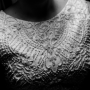 IMG_7813 IMG_7813