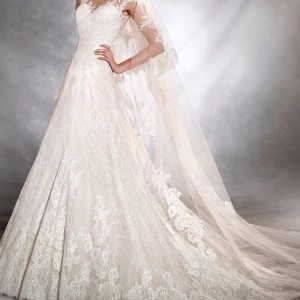 2205a4aa-ccfc-4196-9544-729bfbefe73e