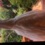 IMG_0510