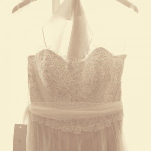 IMG_3179 IMG_3179