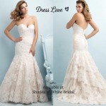 47686911_730728883963806_2971716291900997632_n