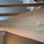 3B3853ED-1744-4F26-97A2-A0E9C8602379