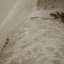 DAN_8219 DAN_8219