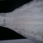 1559246616774443585937