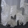 IMG-20190308-WA0046