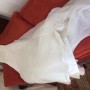 Vestido2JPG Vestido2JPG