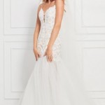 31817AB6-A519-4DE1-82E4-6E00367D6FCE