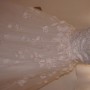 DSC02367 DSC02367