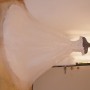 DSC02370 DSC02370