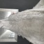 IMG_1684 IMG_1684