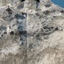 IMG_0409 IMG_0409