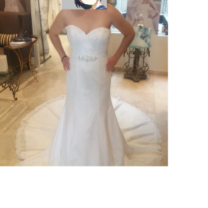 FOTO2-V-NOVIA FOTO2-V-NOVIA