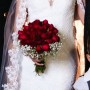 DSC_7172 DSC_7172