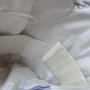 IMG_6743 IMG_6743