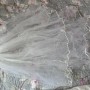 IMG_6752 IMG_6752