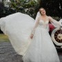 IMG_6944 IMG_6944