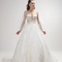 IMG_6946 IMG_6946