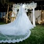 IMG_7754 IMG_7754