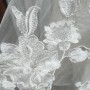 IMG20260831131000 IMG20260831131000