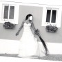 IMG_1716 IMG_1716