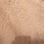 78663562-0D1C-4475-A646-31F25052C674