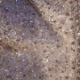 20190520_195932