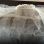 IMG_2498 IMG_2498