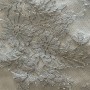 IMG_2971 IMG_2971