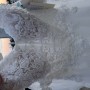 IMG_3048 IMG_3048