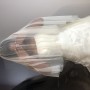 IMG_4646 IMG_4646