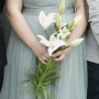 IMG_8583 IMG_8583