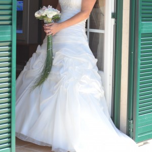 FOTO-509 FOTO-509