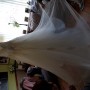 20180928_144352