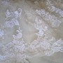 WP_20170331_12_19_54_Pro_LI WP_20170331_12_19_54_Pro_LI