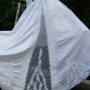 IMG_1088 IMG_1088
