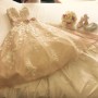 IMG_2386 IMG_2386