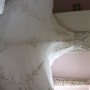 IMG_5657 (1) IMG_5657 (1)