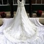 IMG_5665 (2) IMG_5665 (2)