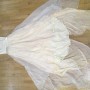 IMG_9254 IMG_9254