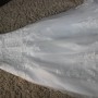 IMG_2132 IMG_2132