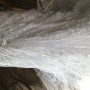 IMG_5804 IMG_5804