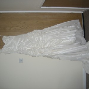 IMG_7919 IMG_7919