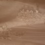 20190321_191657