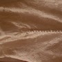 20190321_191827