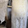 dress6 dress6