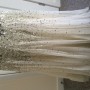 IMG_1009 IMG_1009