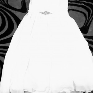 IMG_4538 IMG_4538